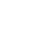 fo-logo-roof